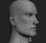 paladin_head_wires02.jpg