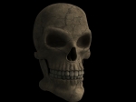 skull02~0.jpg